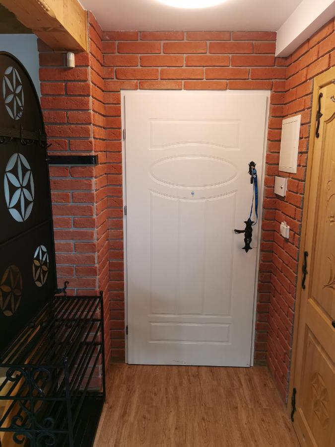 Zakopane Apartament المظهر الخارجي الصورة